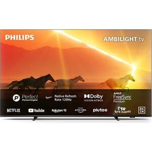65" Philips The Xtra 65PML9008